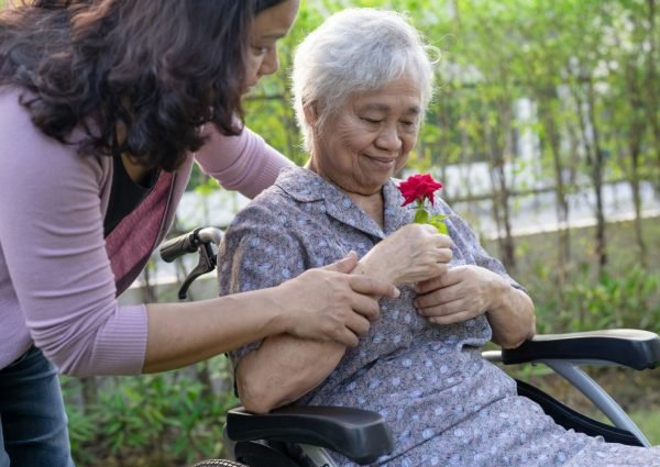 caregiver-daughter-hug-and-help-asian-senior-woman-holding-red-rose-on-wheelchair-in-park-